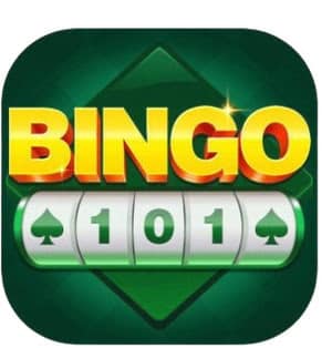 Bingo 101 app
